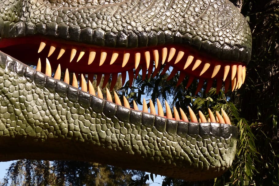 dinosaur teeth, reptile, closeup, animal body part, close-up HD wallpaper