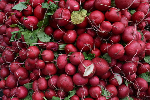 vegetables, veggies, red, radish, food and drink, healthy eating HD wallpaper