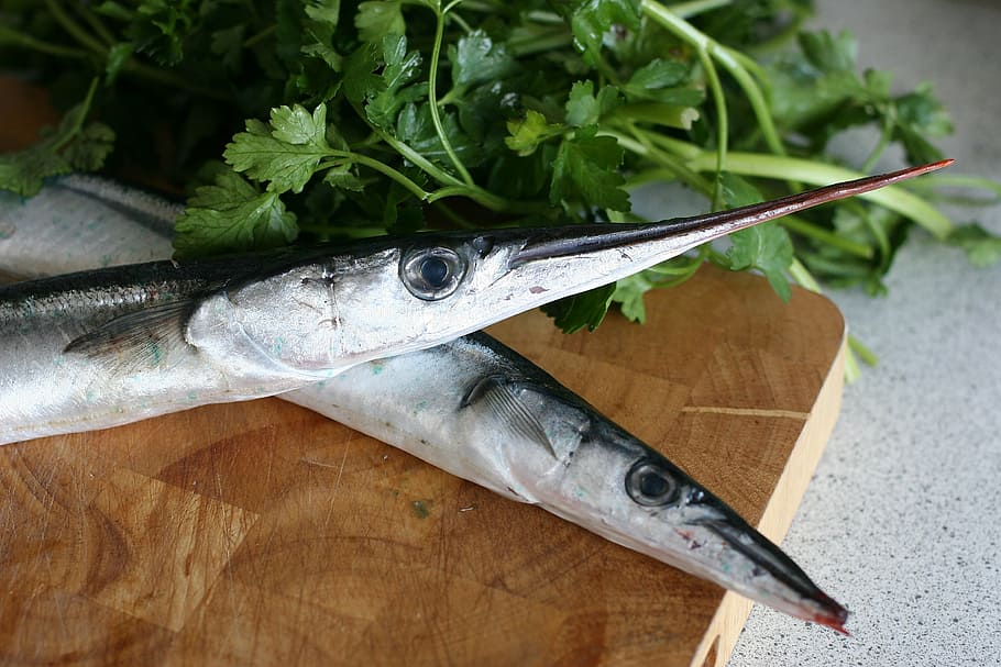 garfish, spring, dining, parsley, taste, shoal of fish, green legs HD wallpaper