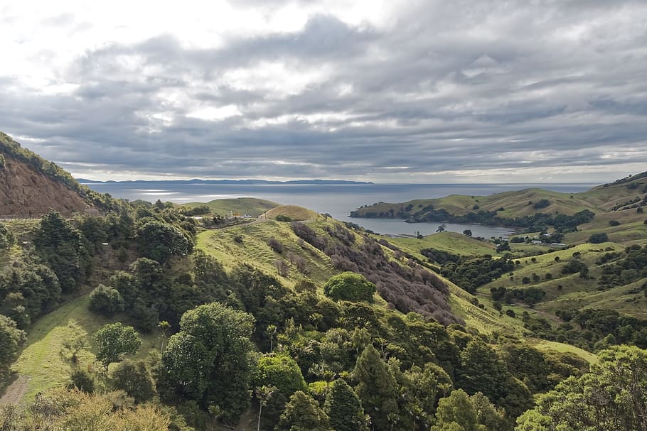 new zealand, coromandel, nature, panorama, landscape, sky, travel, HD wallpaper