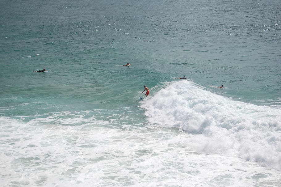 surfer, surfing, waves, sea, ocean, water, coast, sun, motion HD wallpaper