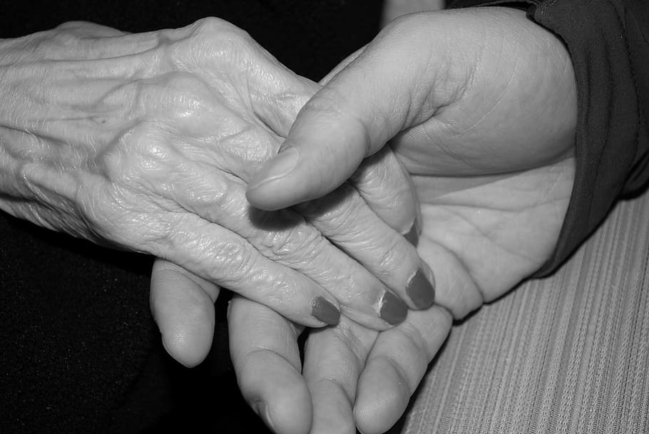 two hands holding close photography, aged, elderly, senior HD wallpaper