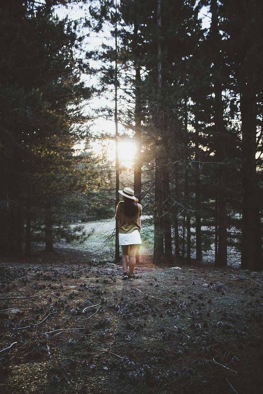 Ren Izumi - Regional Park Forest, woman standing near tall trees HD wallpaper