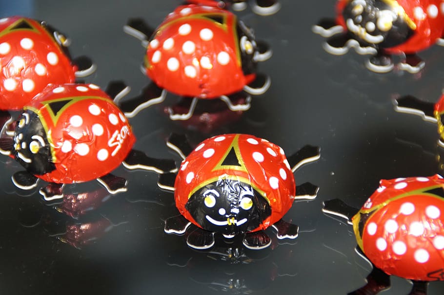 beetle, ladybug, lucky ladybug, decoration, chocolate beetle HD wallpaper