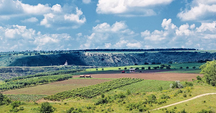 Moldova, Orhei, Field, Landscape, wilderness, scenery, natural, HD wallpaper