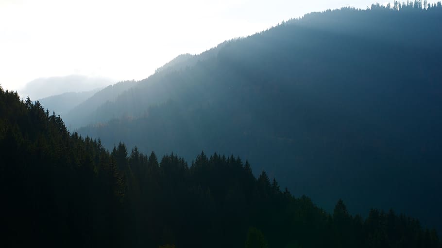silhouette of mountain, trees covered mountain, forest mountain HD wallpaper