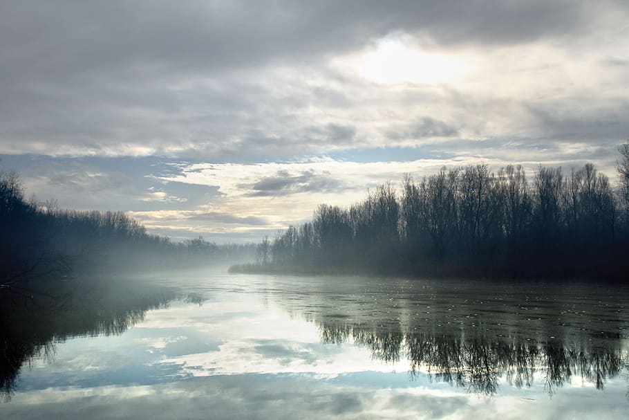 lake view surround by trees, river, frosty, winter, cold, nature HD wallpaper