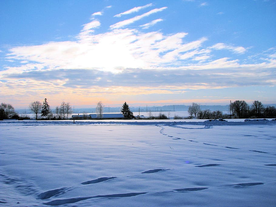 winter, snow, landscape, cold temperature, sky, cloud - sky HD wallpaper