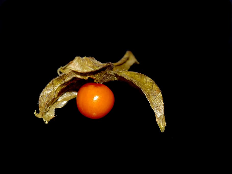 Physalis, Vitamins, Orange, Fruit, exotic, healthy, food, black background HD wallpaper