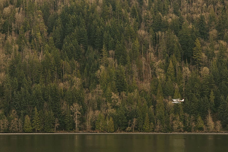 monoplane flies on sky beside body of water, nature, landscape HD wallpaper