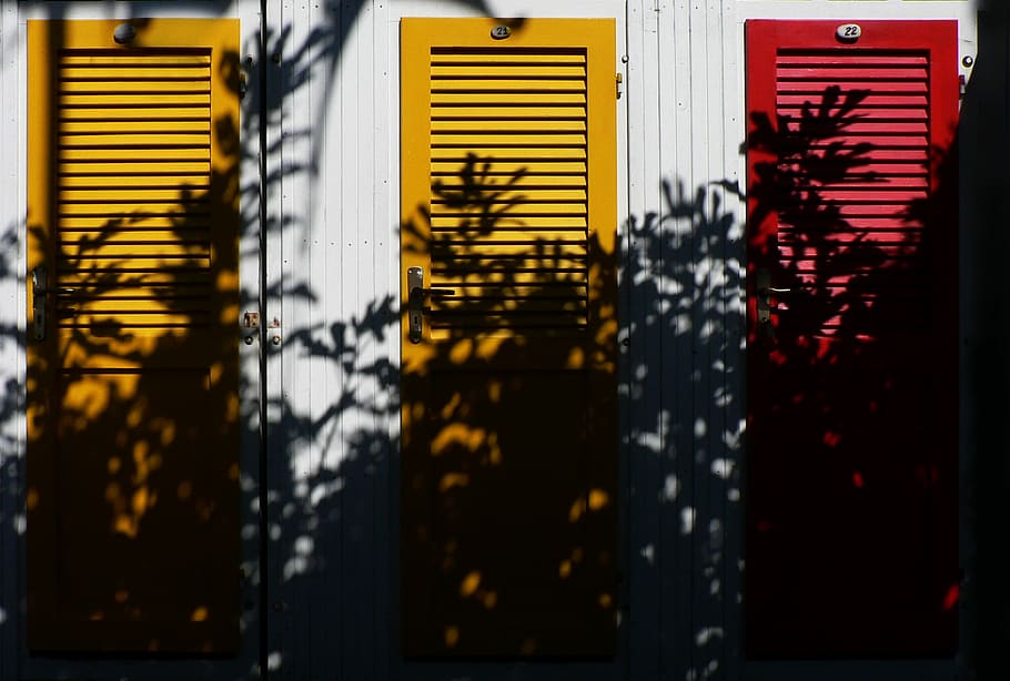 yellow and red wooden closed doors, shadow of plants displaying in front of three louvered wooden doors HD wallpaper