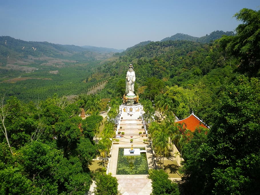Temple, Statue, Thailand, Complex, temple complex, jungle, tree HD wallpaper