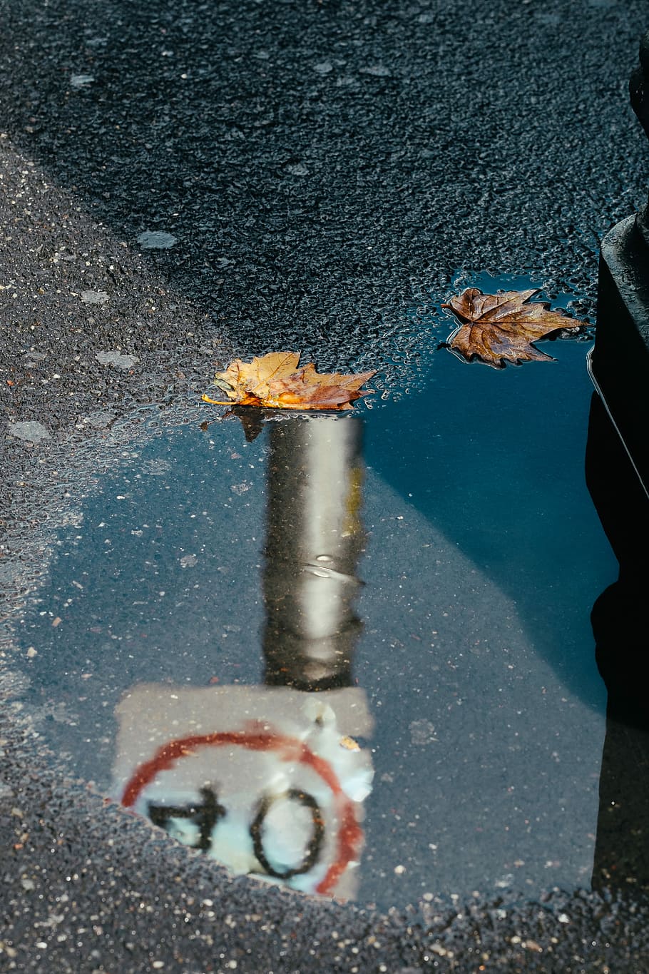 reflection photography of street signage, brown leaf falling on road HD wallpaper