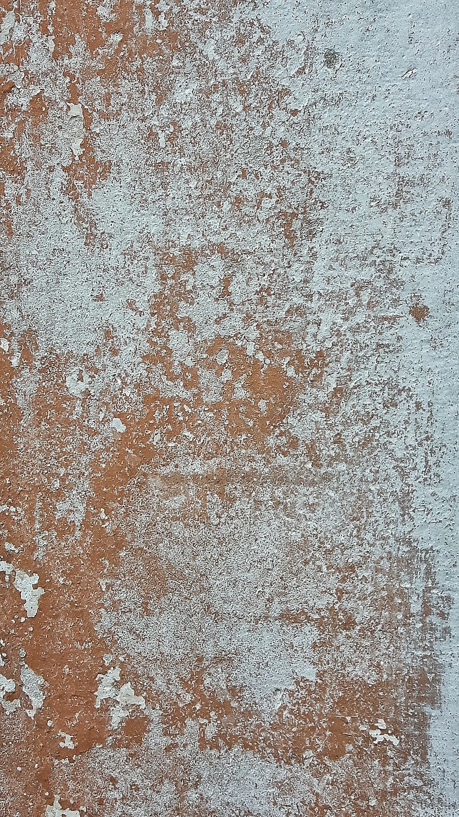 Wall, Color, Texture, Sassi, Fossils, rocks, backgrounds, textured HD wallpaper