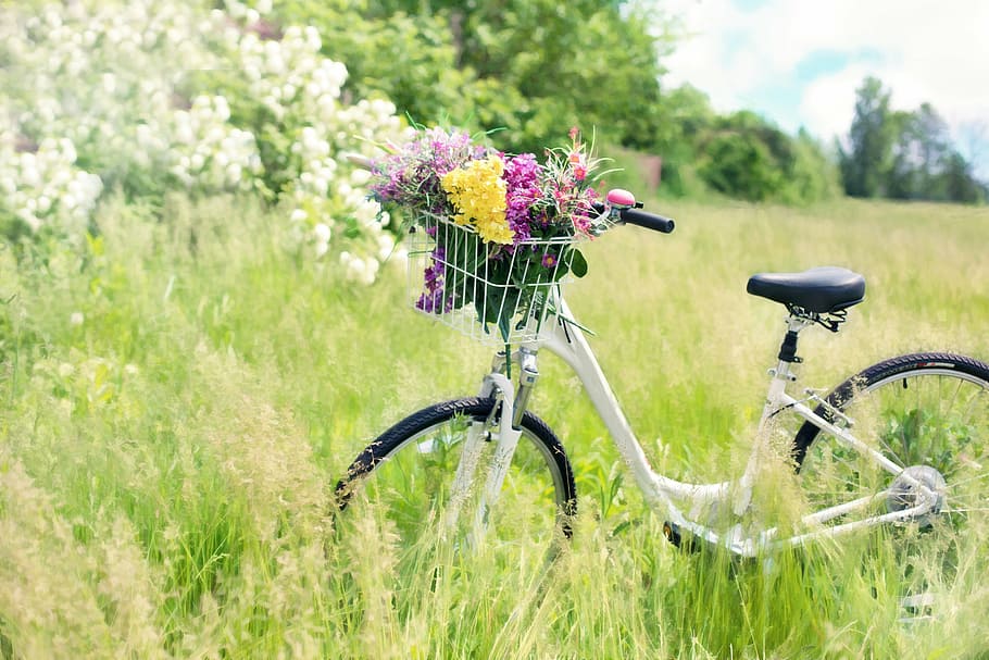 flower on bicycle near on grasses, meadow, flowers, bike, spring HD wallpaper