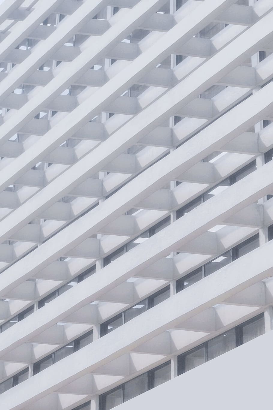 architecture, white, building, infrastructure, pattern, full frame HD wallpaper