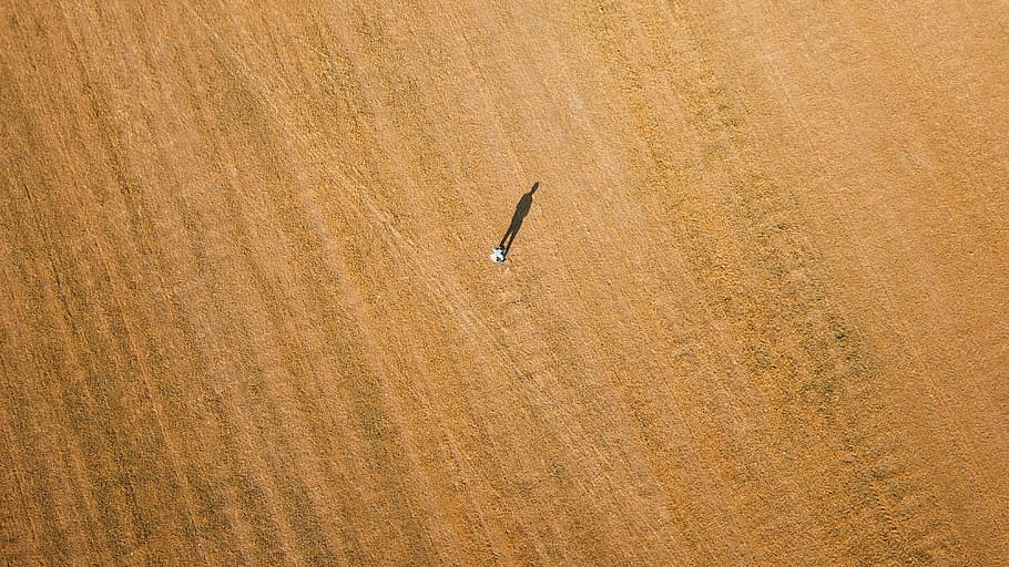 aerial photography of person standing on brown field, drone view HD wallpaper