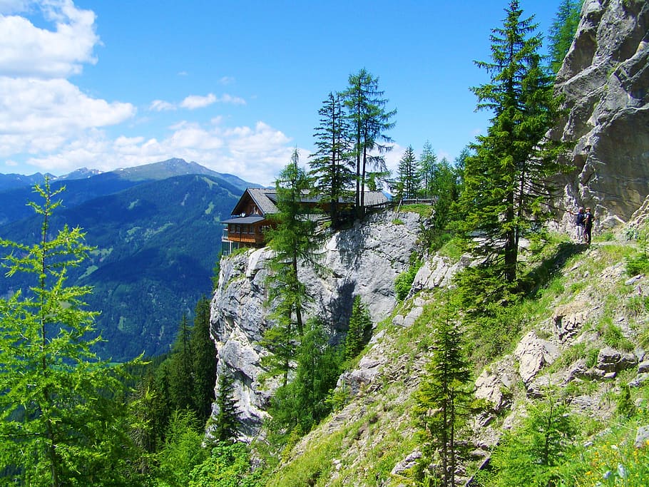 alpine, mountain hut, idyll, plant, tree, beauty in nature HD wallpaper