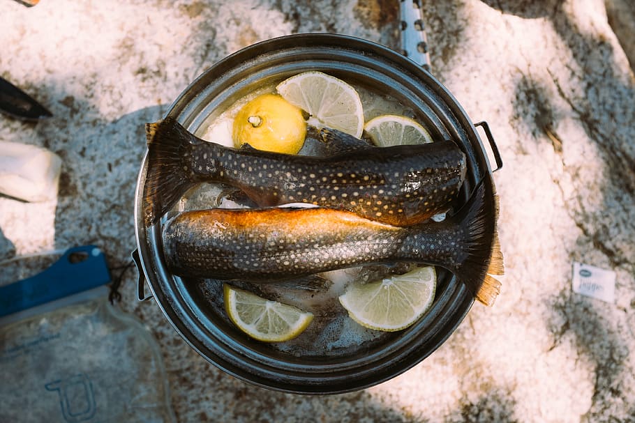 two raw fish with sliced lemon dish, two black fish's tails with lemon in cooking pot HD wallpaper