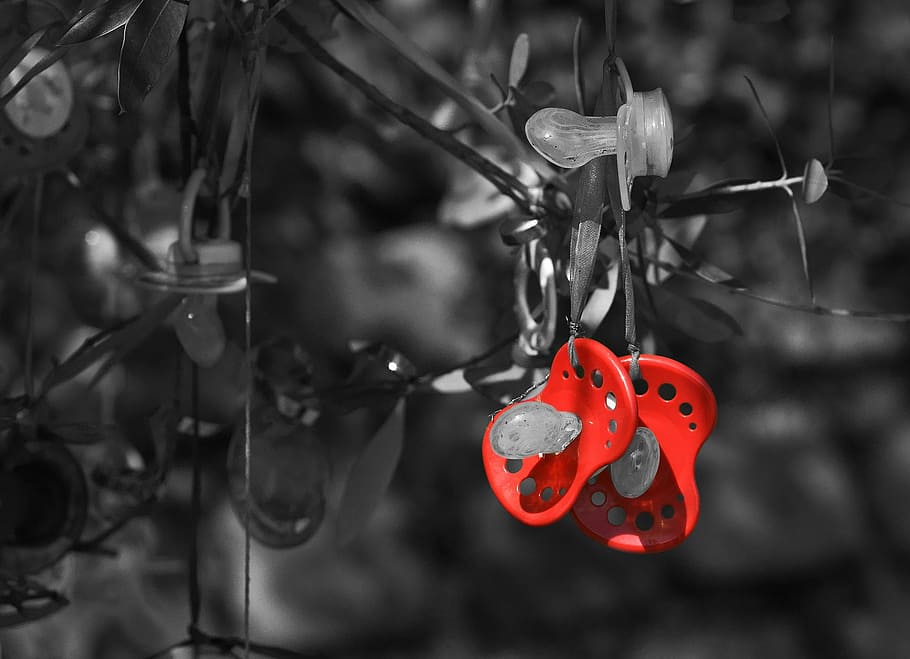 pacifier, pacifier tree, tradition, red, baby, calming, park HD wallpaper