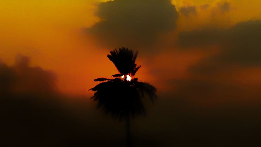 Silhouette Photography of Clouds, backlit, blur, dusk, evening HD wallpaper