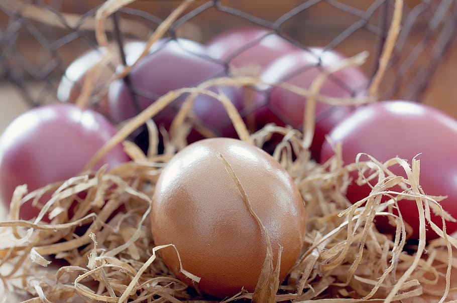 easter eggs, colorful, colored, colorful eggs, customs, close HD wallpaper