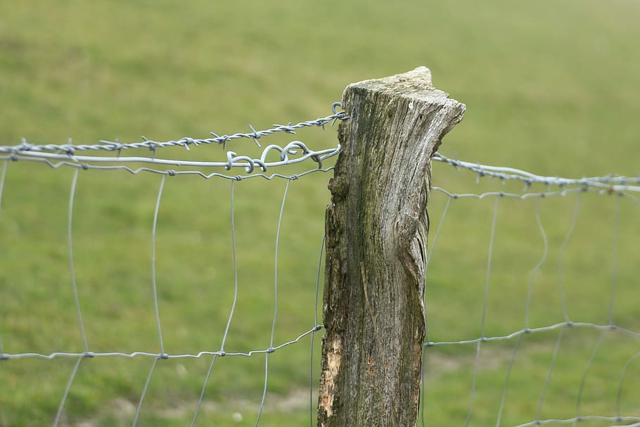 Pasture, Fence, Post, Pile, pasture fence, fence post, wood pile, HD wallpaper