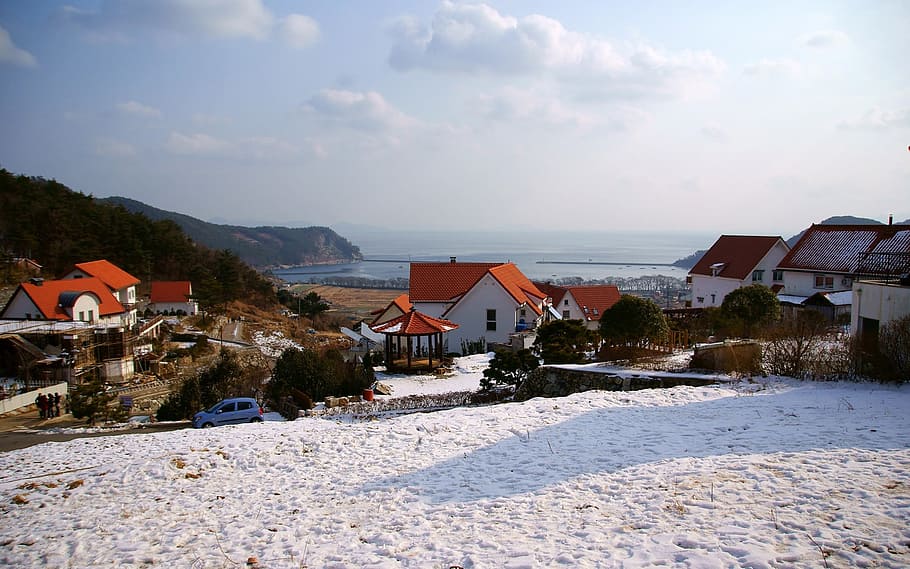 Klitschko, whether or not, house, town, village, architecture And Buildings HD wallpaper