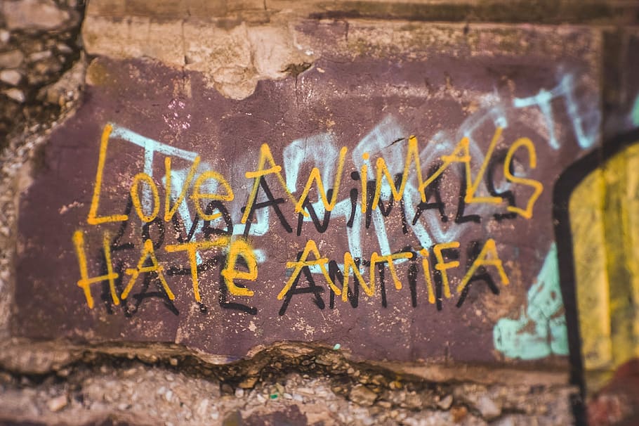 love animals hate ant ifa graffiti on brown painted wall, street