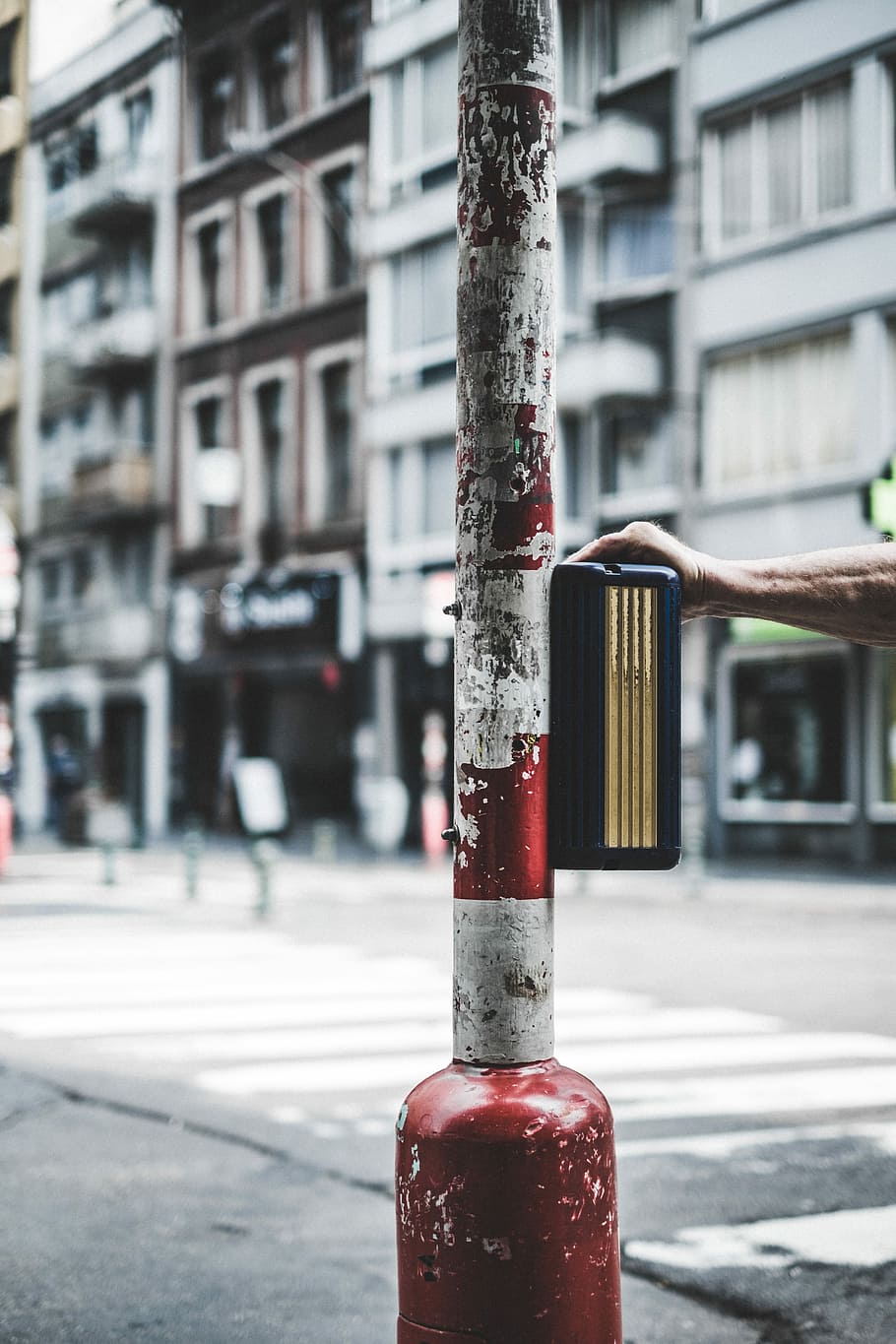 selective focus photography of white and red striped street pole, person holding red and blue street post, HD wallpaper