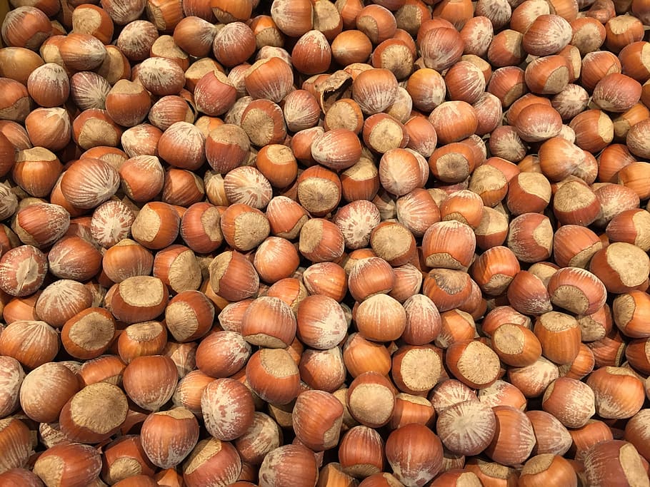 lot of chestnuts, hazelnut, food, healthy, ingredient, seed, snack, HD wallpaper