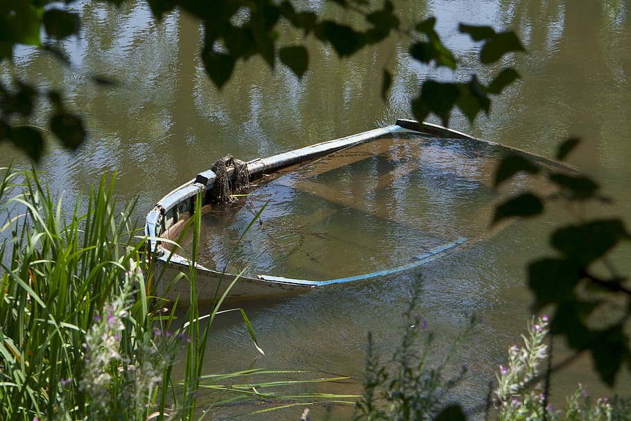 barca, water, river, sunken ship, nature, plant, day, no people HD wallpaper
