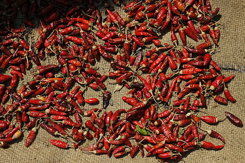 red, chilli, spices, asian, food, healthy, ingredient, spicy HD wallpaper