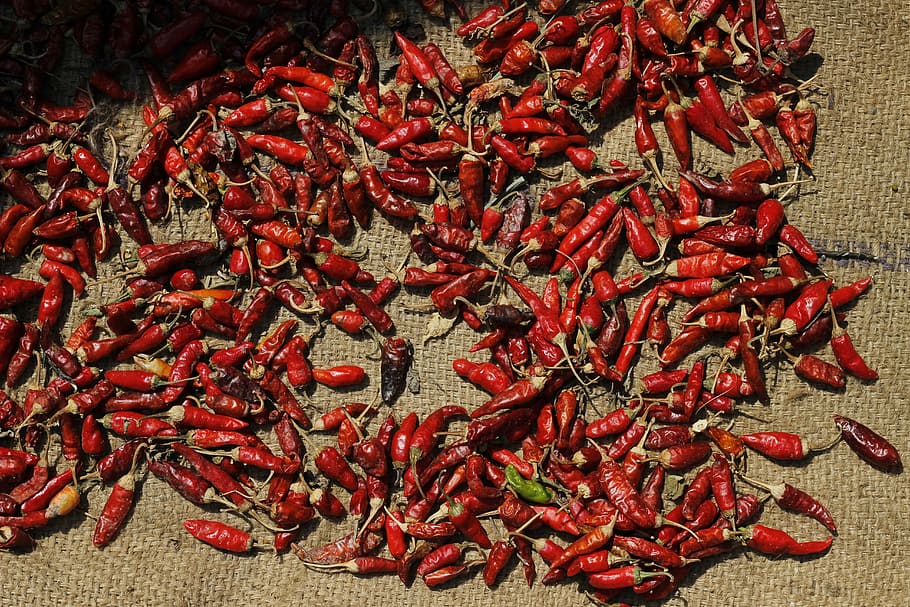 red, chilli, spices, asian, food, healthy, ingredient, spicy, HD wallpaper