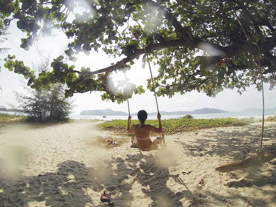 woman sitting on swing under green tree facing body of water at daytime, woman using swing on tree branch during daytime HD wallpaper