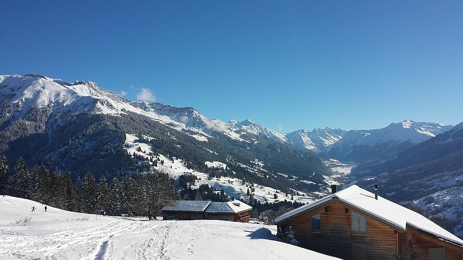 Winter, Snow, Wintry, White, Cold, Light, nature, switzerland HD wallpaper