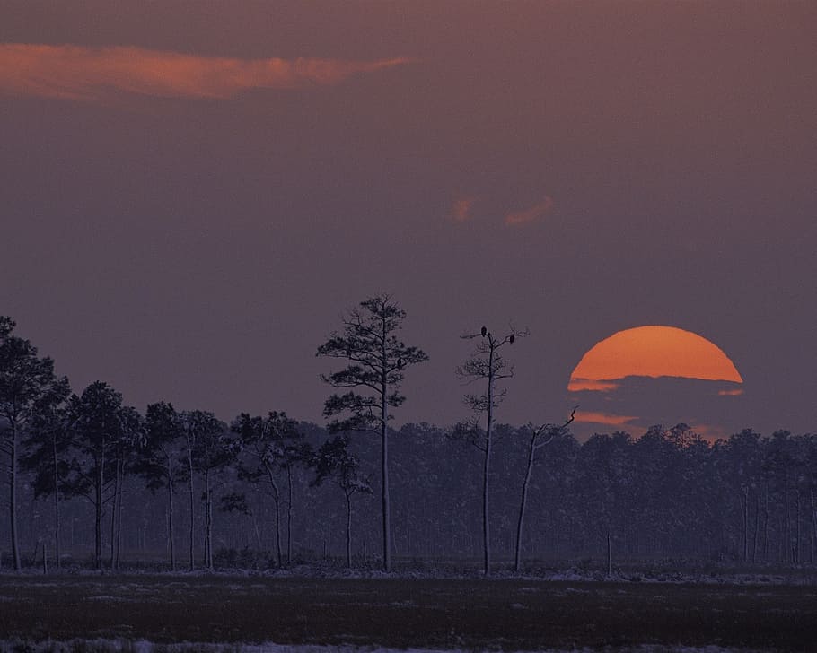sunset, landscape, twilight, dusk, sunshine, sky, colorful HD wallpaper