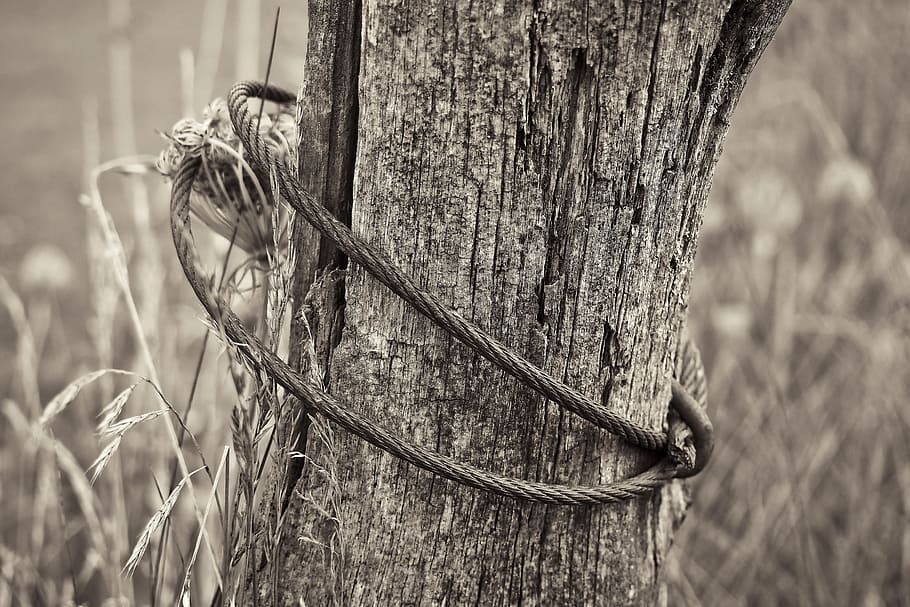 fence, pile, wood, post, fence post, wood fence, pasture, wooden posts HD wallpaper