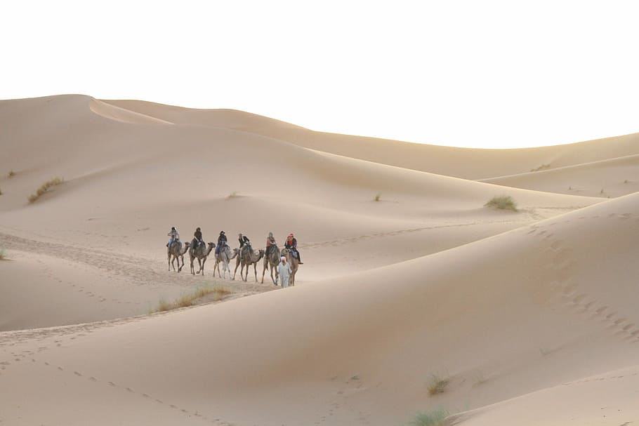 Desert, Sahara, Moroccan, sand, arid climate, landscape, outdoors HD wallpaper