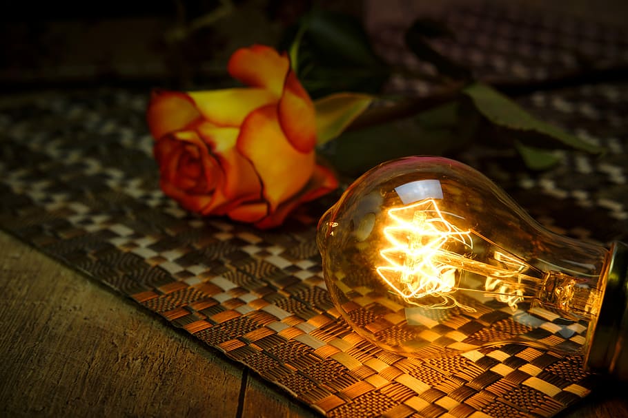 turned-on bulb beside artificial flower, light bulb, rose, bulbs, HD wallpaper