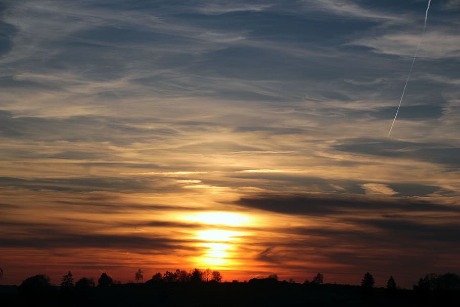 silhouette of trees during golden hour, sunset, clouds, dark clouds HD wallpaper