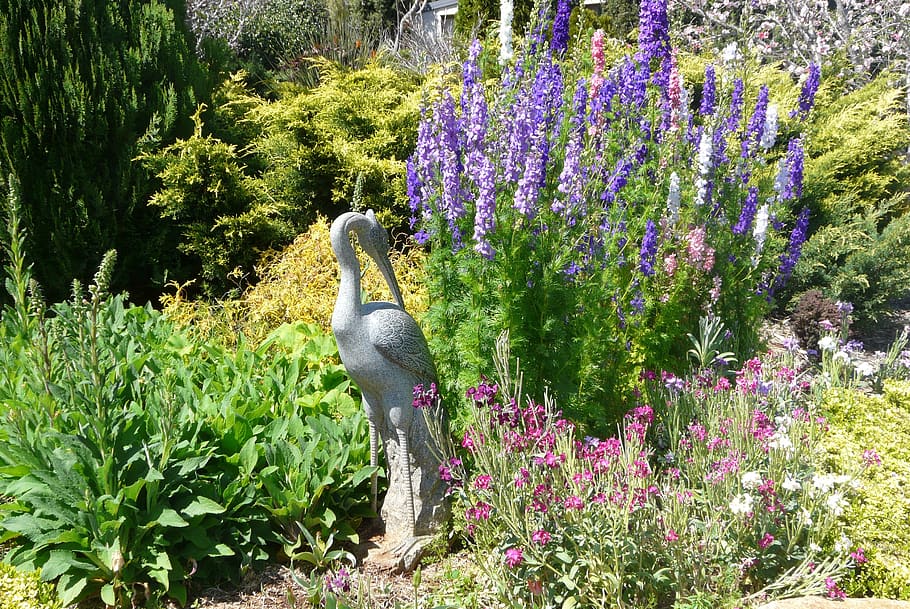 garden, statue, peaceful, plant, growth, flower, flowering plant HD wallpaper