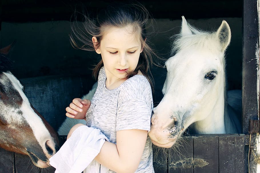 girl between two horses, kids, outdoors, hourse, animals, white, HD wallpaper