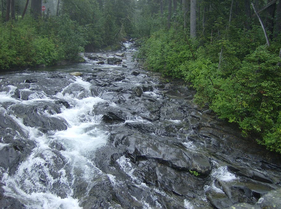 cold, mountain, creek, washington, state, landscape, nature HD wallpaper