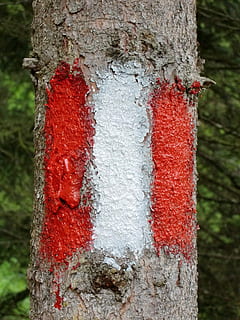 mark, directory, waymarks, signpost, signposts, migratory character HD wallpaper