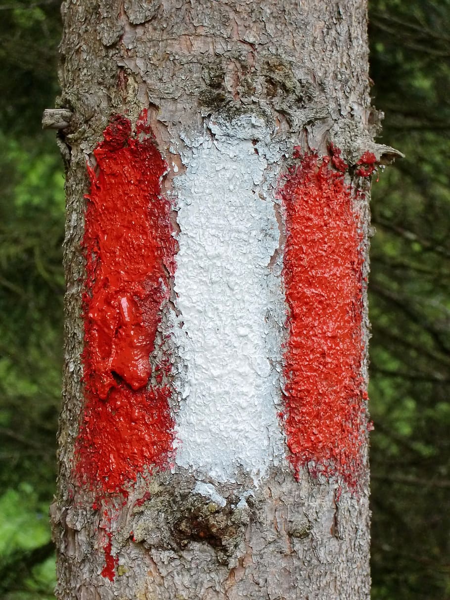 mark, directory, waymarks, signpost, signposts, migratory character HD wallpaper