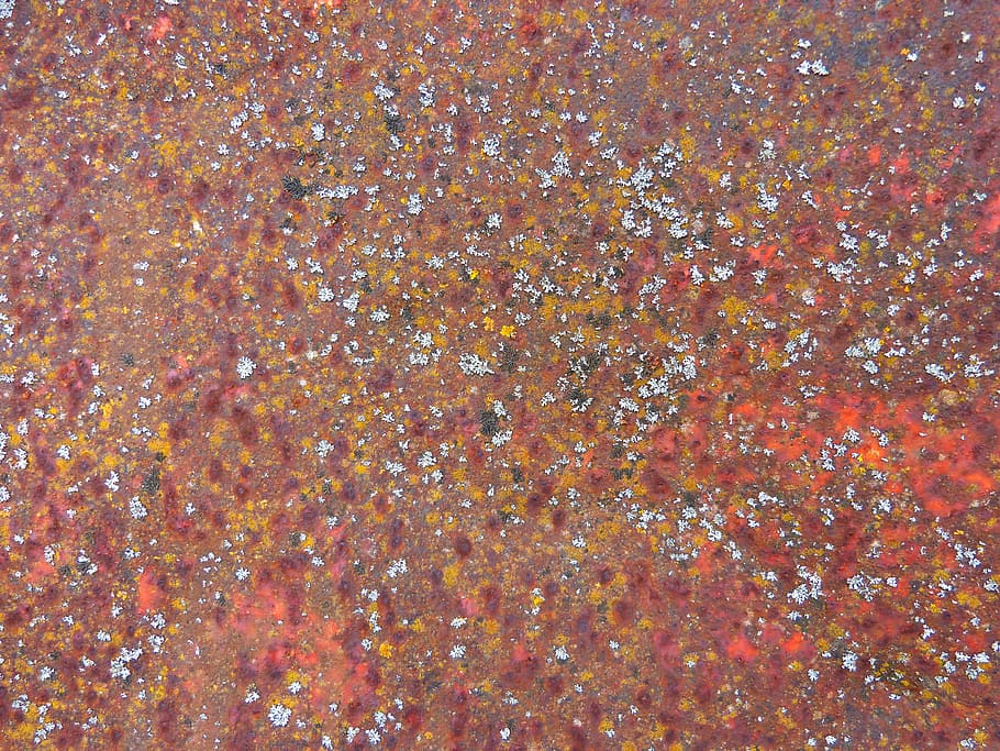 background, oxide, rusty, lichens, weather, abstract, pattern HD wallpaper