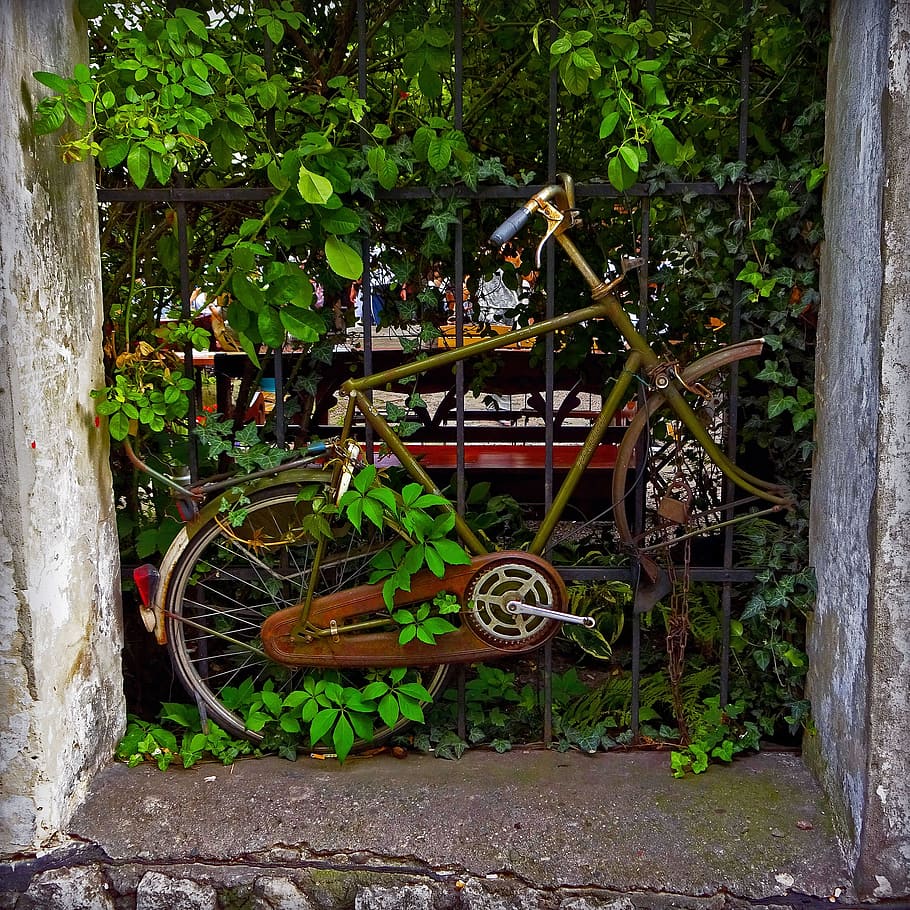 green commuter bike near black metal fence, old, rust, frame HD wallpaper
