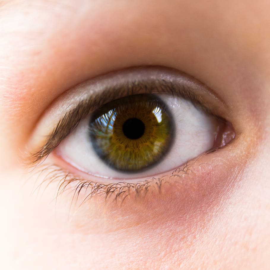 eye, green, brown, open, look, close, human body part, human eye HD wallpaper