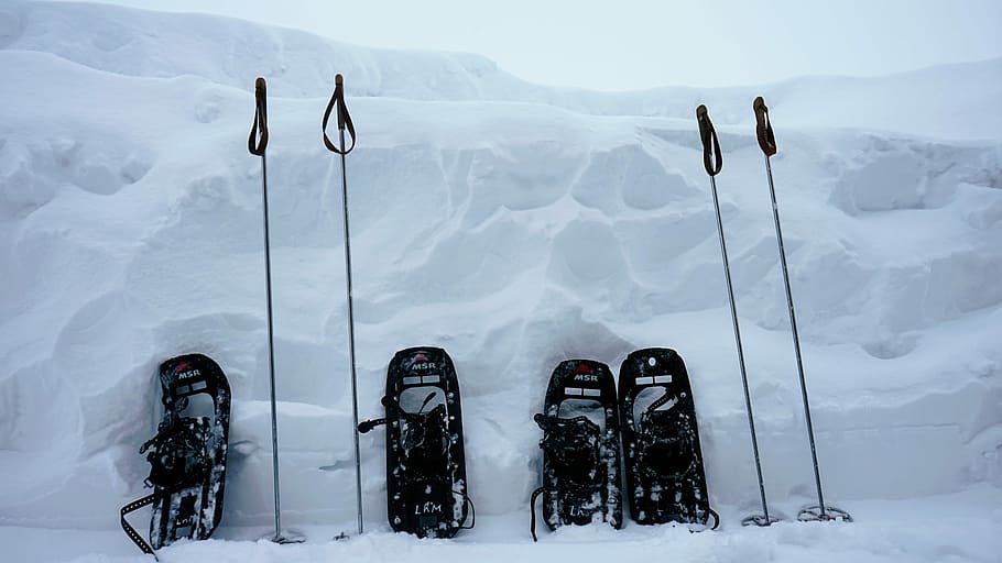 two pairs of snowshoes with poles leaning on snow, four black snowmobiles at daytime HD wallpaper